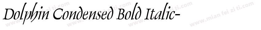 Dolphin Condensed Bold Italic字体转换